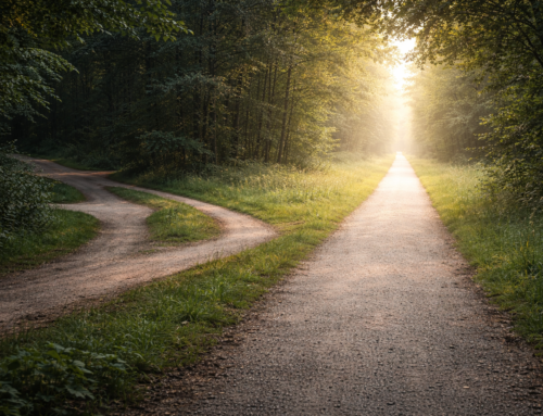 Why Islam Makes Sense: A Rational Path to Faith